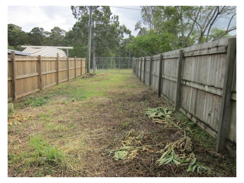 76 Wappa Falls Road, Yandina QLD 4561