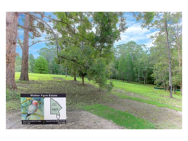 Lots 2 and 9 Fernhill Place, Diddillibah QLD 4559