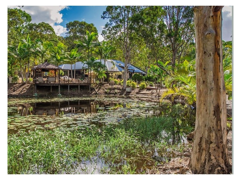 16 Parkyn Hill Place, Maroochy River QLD 4561