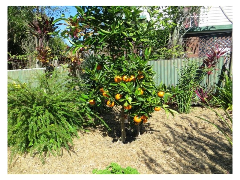 5 Railway Terrace, Nambour QLD 4560