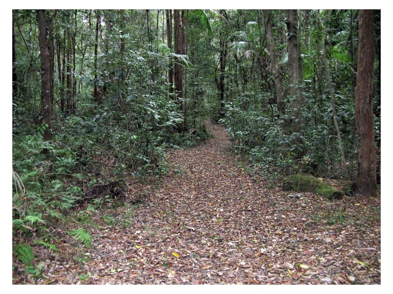 Lot 9 Fernhill Place, Diddillibah QLD 4559