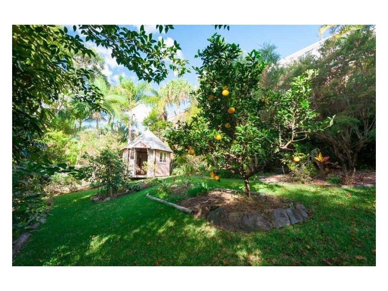 41 Illuka Street, Buderim QLD 4556