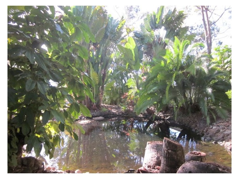 17 Kirra Road, Maroochy River QLD 4561