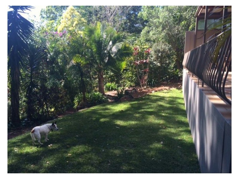 25 Spring Myrtle Avenue, Nambour QLD 4560