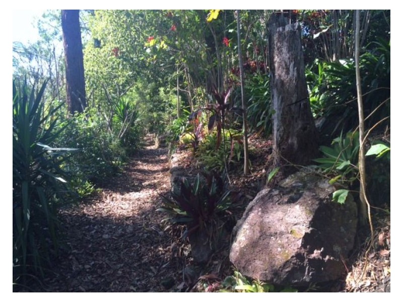 25 Spring Myrtle Avenue, Nambour QLD 4560