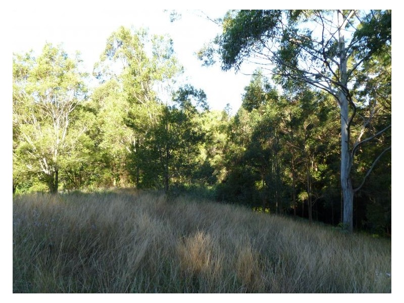 Lot 102 Hamilton Road, West Woombye QLD 4559