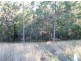 Lot 102 Hamilton Road, West Woombye QLD 4559