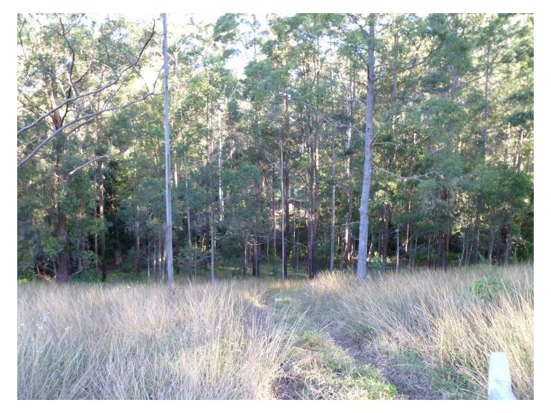 Lot 102 Hamilton Road, West Woombye QLD 4559