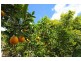 70 Old Coach Way, Ninderry QLD 4561