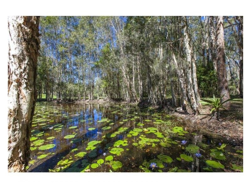 82-84 River Gum Drive, Diddillibah QLD 4559