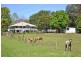 16 Ferntree Creek Road, Kulangoor QLD 4560