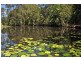 16 Ferntree Creek Road, Kulangoor QLD 4560