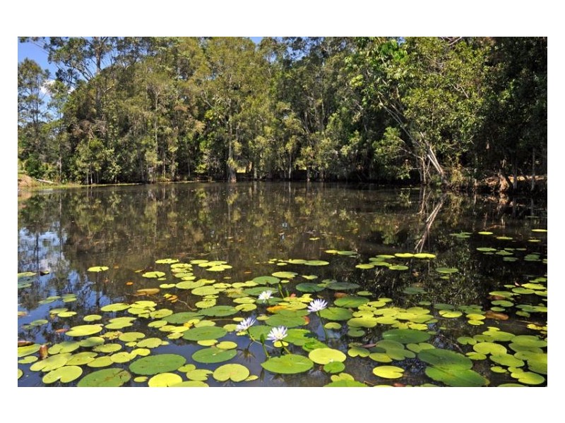 16 Ferntree Creek Road, Kulangoor QLD 4560