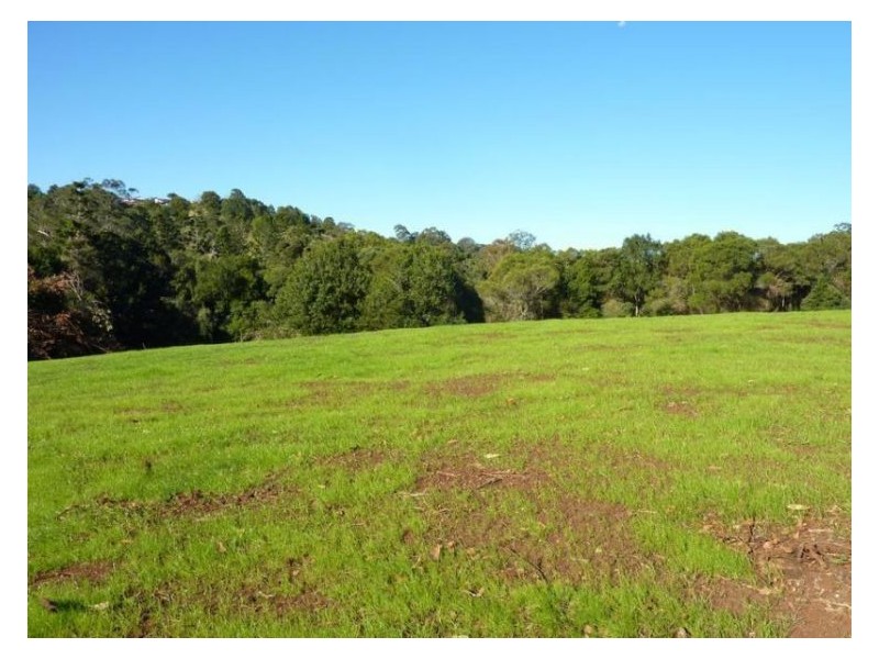 238 Dulong Road (Lot 23), Dulong QLD 4560