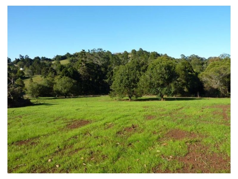 238 Dulong Road (Lot 23), Dulong QLD 4560