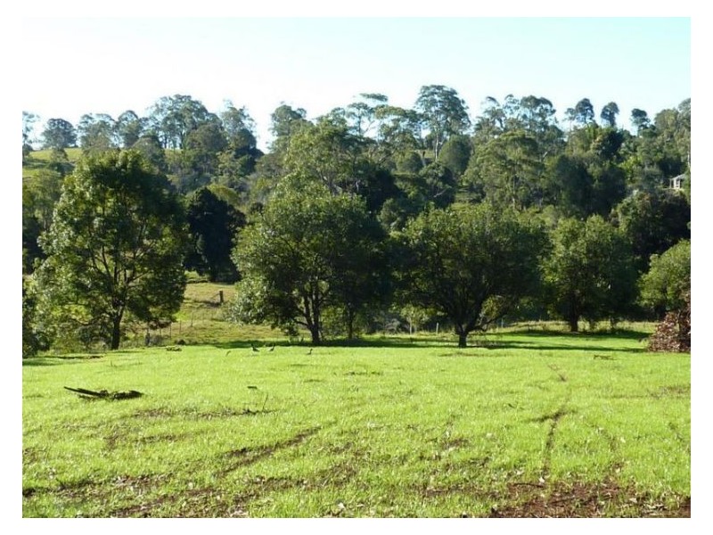 238 Dulong Road (Lot 23), Dulong QLD 4560