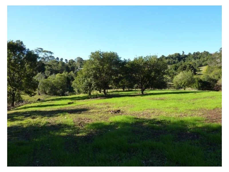 238 Dulong Road (Lot 23), Dulong QLD 4560