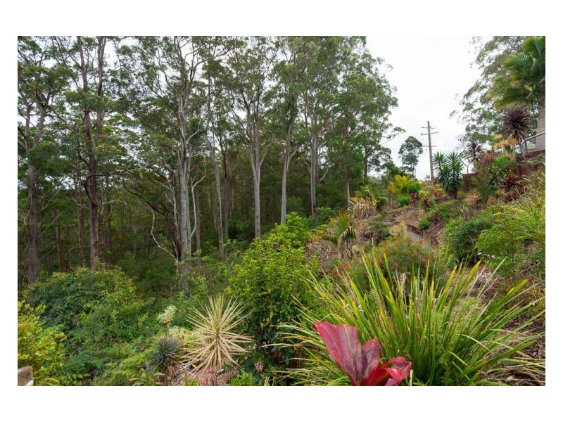 74 Mapleton Falls Road, Mapleton QLD 4560