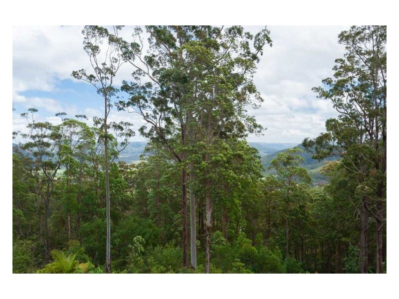 74 Mapleton Falls Road, Mapleton QLD 4560