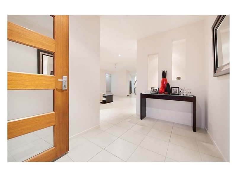 56 Petigrain Avenue, Palmwoods QLD 4555