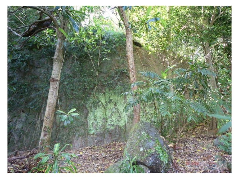 8 Carol Court, Buderim QLD 4556