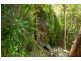 8 Carol Court, Buderim QLD 4556
