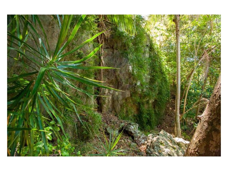 8 Carol Court, Buderim QLD 4556