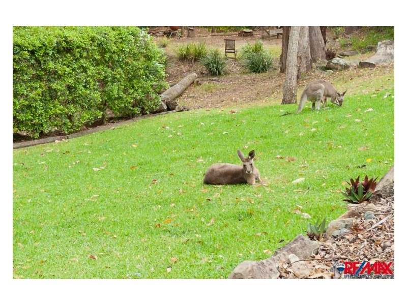 19 Karawatha Street, Buderim QLD 4556