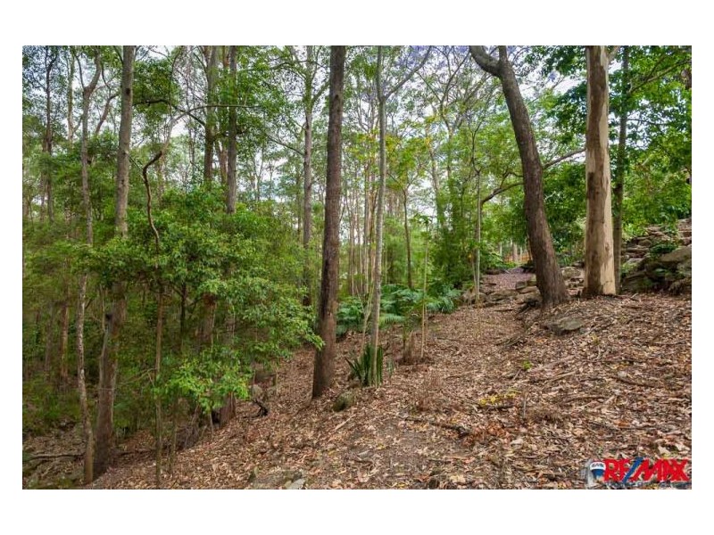 19 Karawatha Street, Buderim QLD 4556