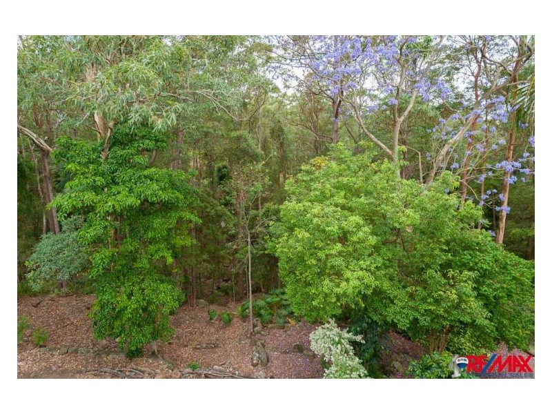 19 Karawatha Street, Buderim QLD 4556