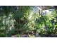3 Louise Lane, Nambour QLD 4560
