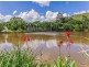 16 Krause Road, Ninderry QLD 4561