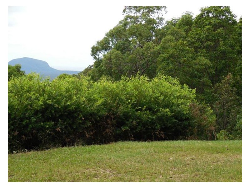 Lot 14 Skybolt Road, Valdora QLD 4561