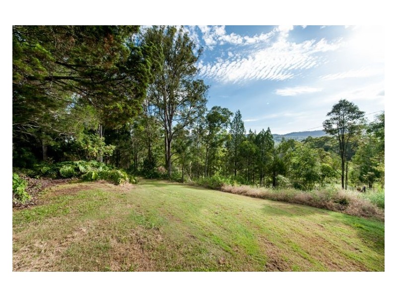 431 Blackall Range Road, West Woombye QLD 4559