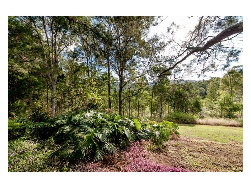 431 Blackall Range Road, West Woombye QLD 4559