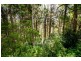 431 Blackall Range Road, West Woombye QLD 4559