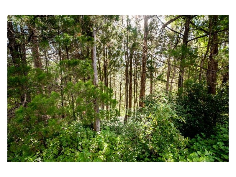 431 Blackall Range Road, West Woombye QLD 4559