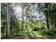 431 Blackall Range Road, West Woombye QLD 4559