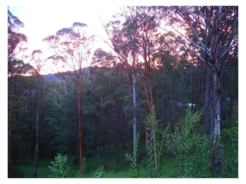 308 Hunchy Road, Hunchy QLD 4555