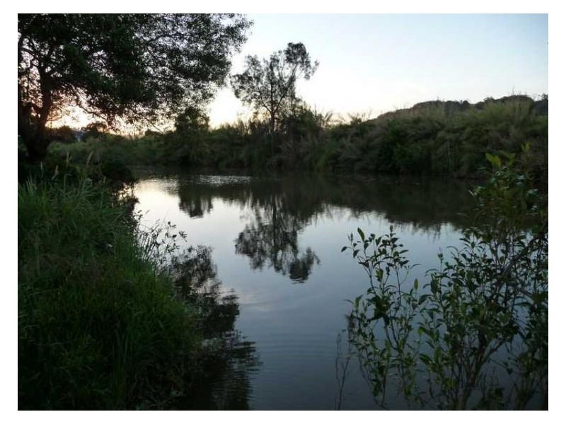 287 Petrie Creek Road, Rosemount QLD 4560