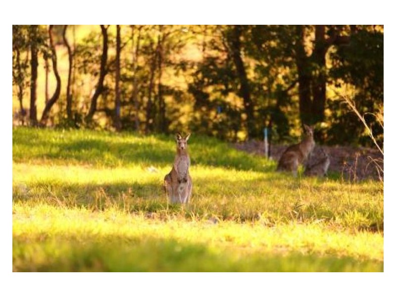 Lot 2 Mountain View Court, Yandina QLD 4561