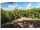 86 Camp Flat Road, Bli Bli QLD 4560