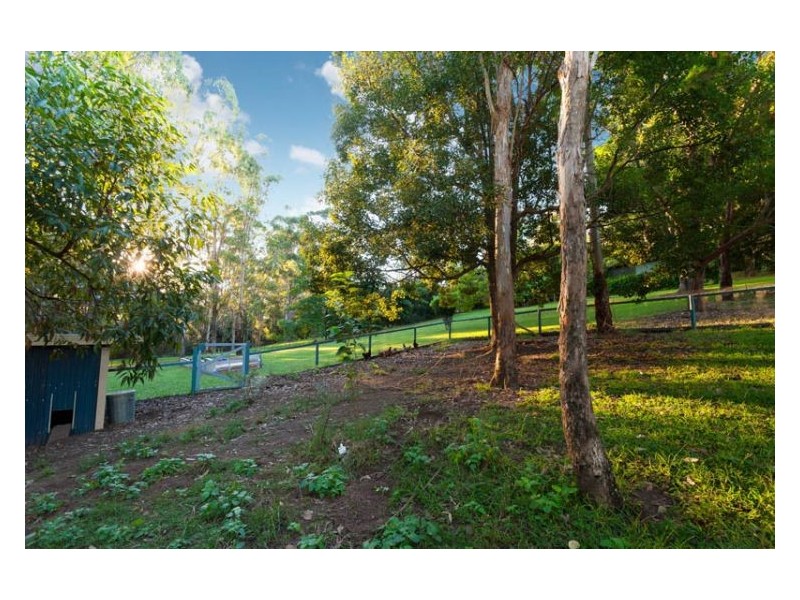 266 Diddillibah Road, Diddillibah QLD 4559