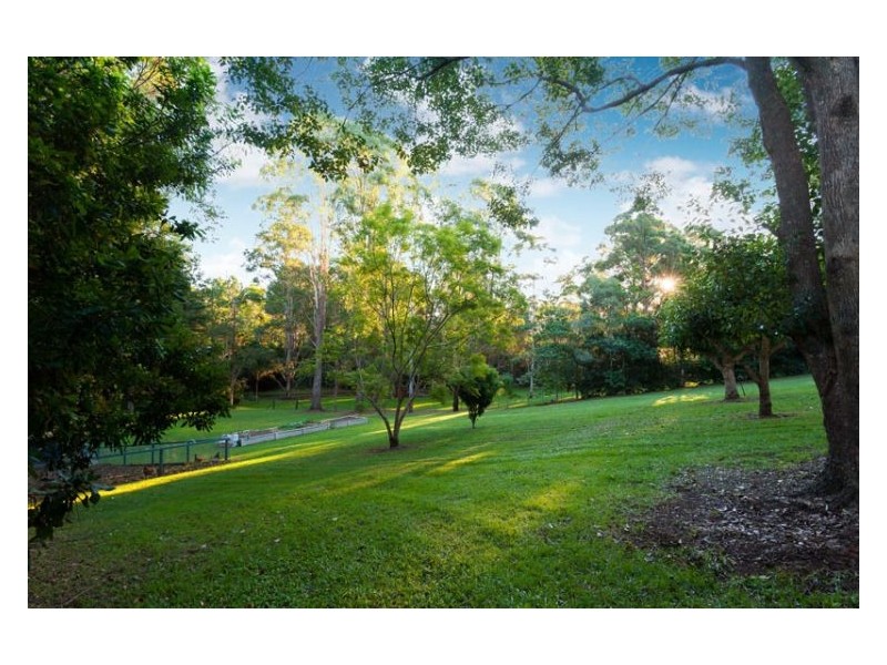 266 Diddillibah Road, Diddillibah QLD 4559