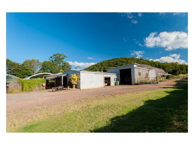 192 Yandina-Cooloolabin Road, Yandina QLD 4561