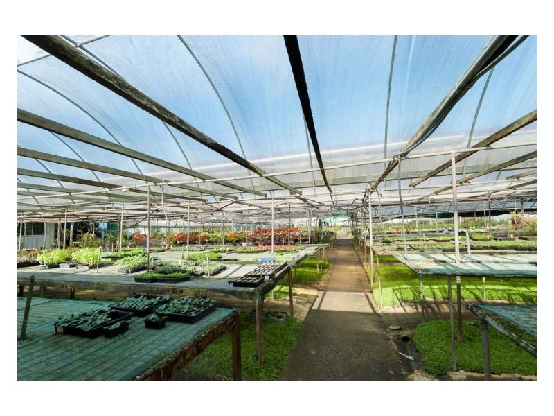 192 Yandina-Cooloolabin Road, Yandina QLD 4561