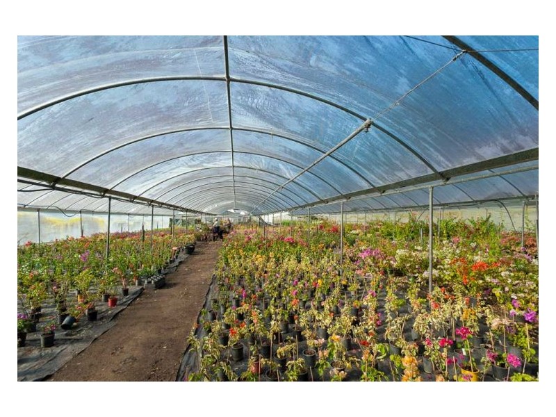 192 Yandina-Cooloolabin Road, Yandina QLD 4561