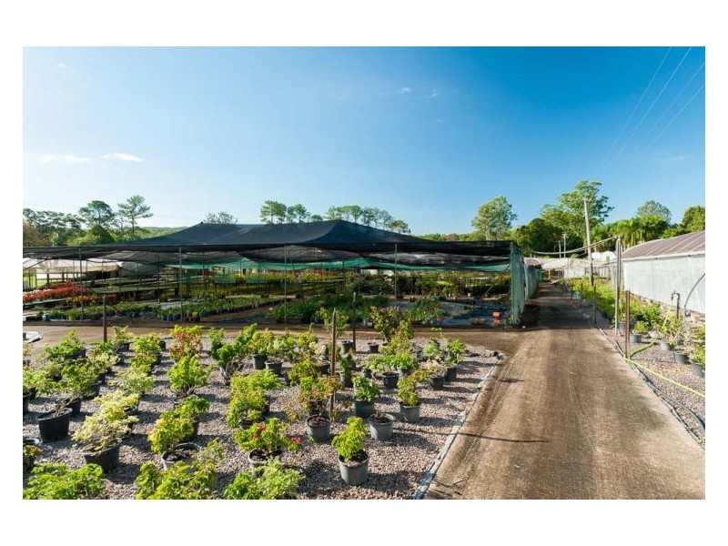 192 Yandina-Cooloolabin Road, Yandina QLD 4561