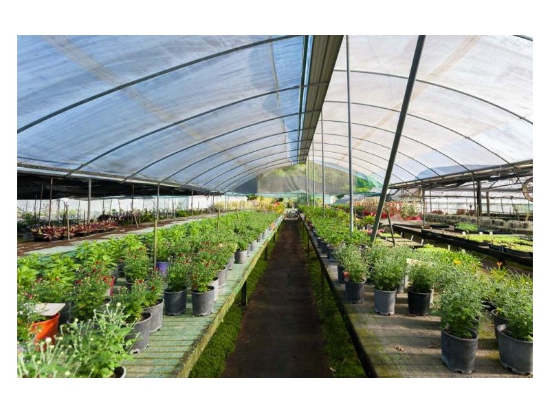 192 Yandina-Cooloolabin Road, Yandina QLD 4561