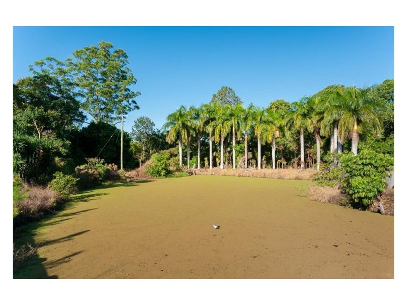 192 Yandina-Cooloolabin Road, Yandina QLD 4561